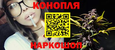 сатива Кунгур