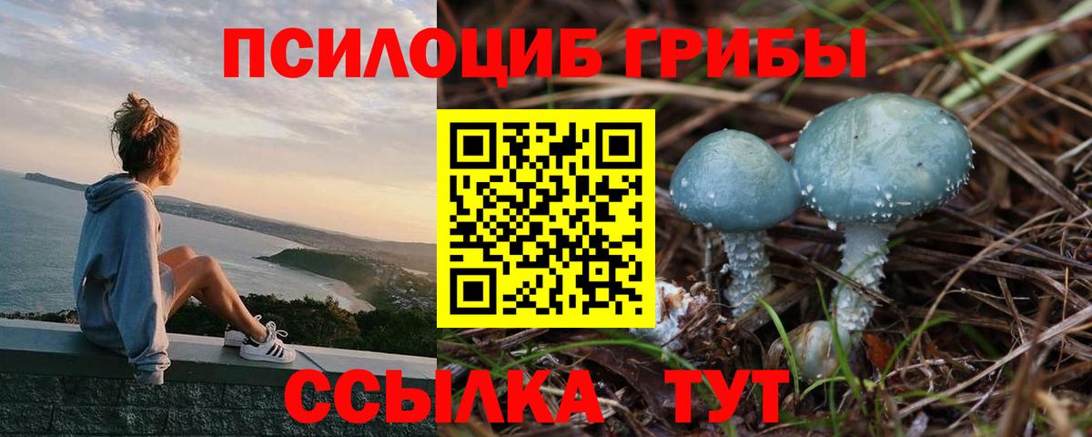 Псилоцибиновые грибы Magic Shrooms Ижевск