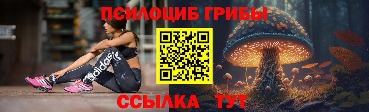 купить наркотики сайты  Вход с VPN  Ижевск  Псилоцибиновые грибы Cubensis 